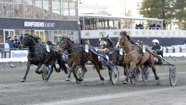 Foto: LARS JAKOBSSON / TR BILD