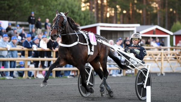 Foto: MALIN ALBINSSON / TR BILD