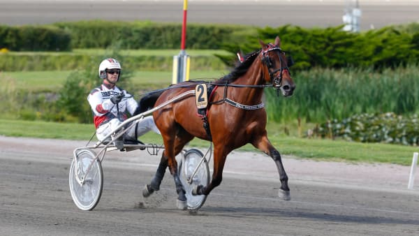 Foto: THOMAS BLOMQVIST / TR BILD