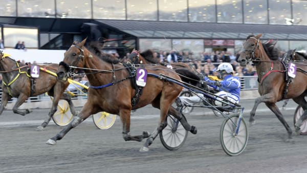 Foto: Lars Jakobsson/TR BILD