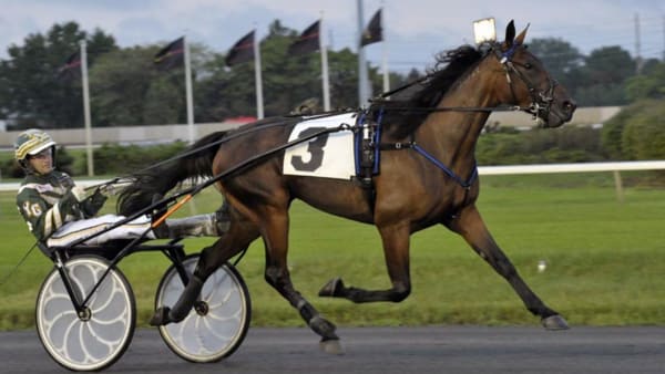 Foto: Stefan Melander/stalltz.se