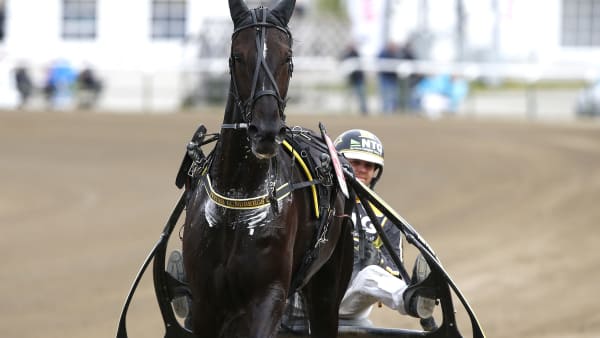 Foto: MICKE GUSTAFSSON/KANAL 75