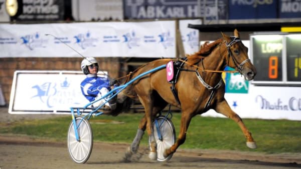 Foto: MARTIN LANGELS/ALN