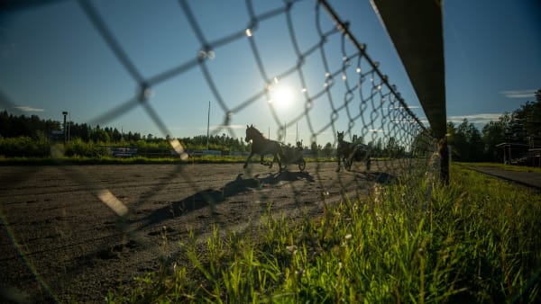 Foto: THOMAS BLOMQVIST / TR BILD