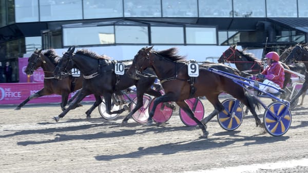 Foto: LARS JAKOBSSON / TR BILD