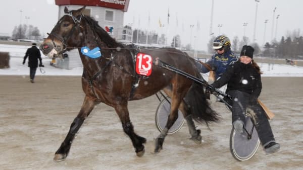 Foto: MICKE GUSTAFSSON/ALN