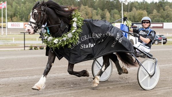 Foto: LENA EMMOTH / TR BILD