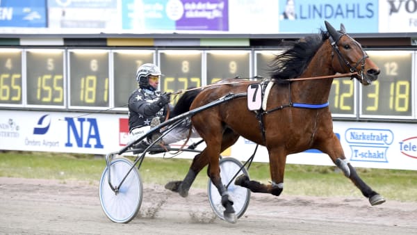 Foto: MARTIN LANGELS/ALN