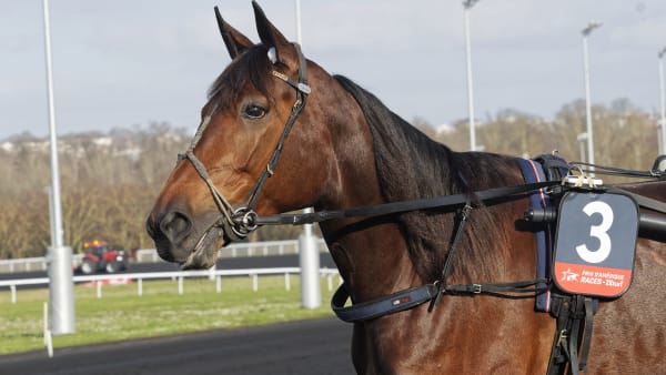 Foto:  Jean-Luc Lamaère-LeTROT