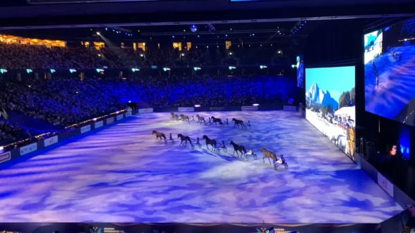 Foto: Thomas Blomqvist