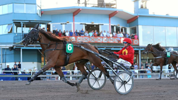 Foto: MARIA HOLMÉN / TR BILD