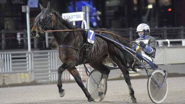 Foto: LARS JAKOBSSON / TR BILD