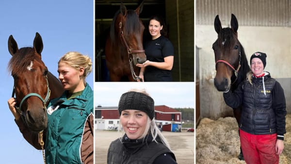 Foto: MARIA HOLMÉN/ MIKAEL WIKNER/ LARS JAK