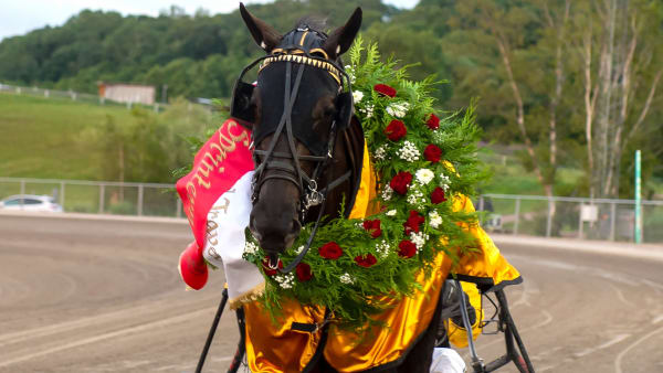 Foto: MIKAEL ROSENQUIST / TR BILD