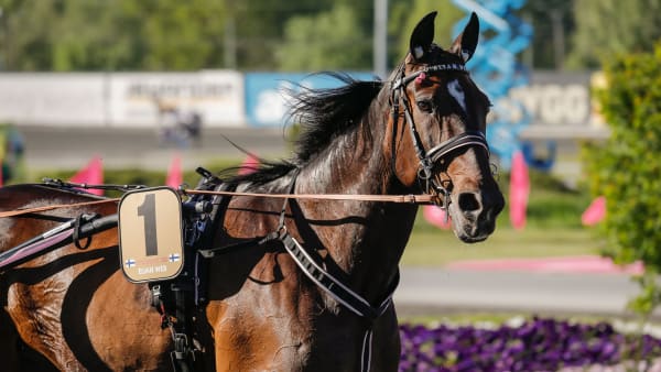 Foto: LENA EMMOTH / TR BILD