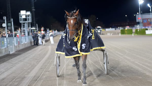 Foto: LARS JAKOBSSON / TR BILD
