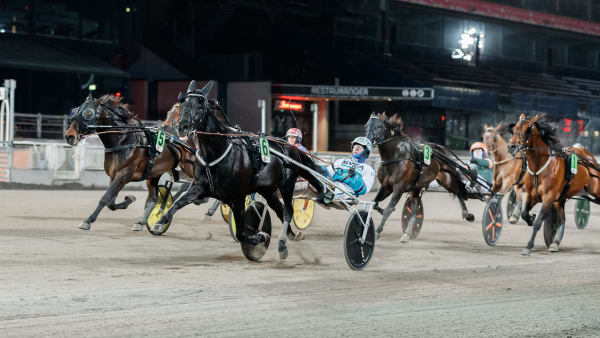 Foto: LENA EMMOTH / TR BILD