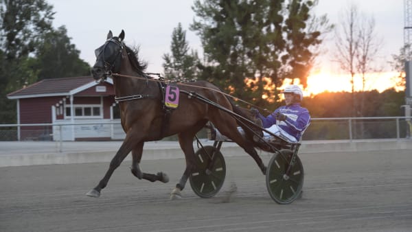 Foto: LARS JAKOBSSON / TR BILD