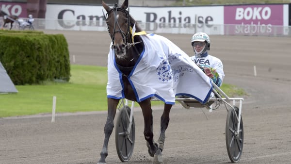 Foto: LARS JAKOBSSON / TR BILD