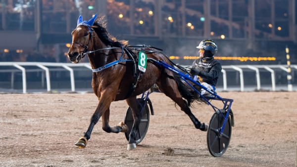 Foto: MIKAEL ROSENQUIST / TR BILD