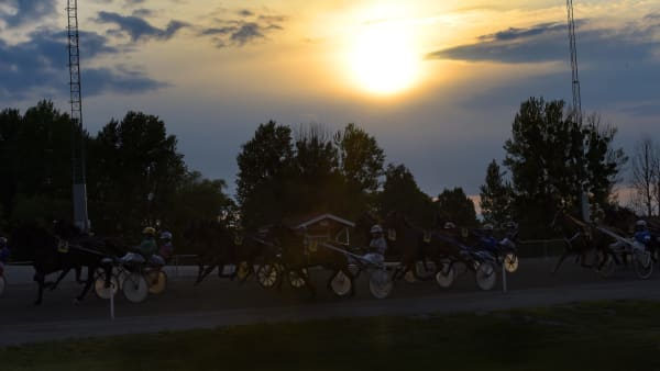 Foto: LARS JAKOBSSON / TR BILD