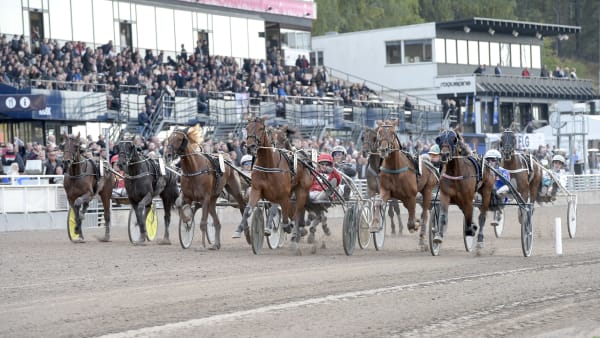 Foto: LARS JAKOBSSON / TR BILD