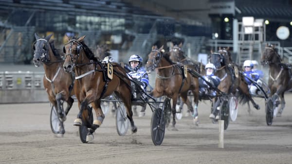 Foto: LARS JAKOBSSON / TR BILD