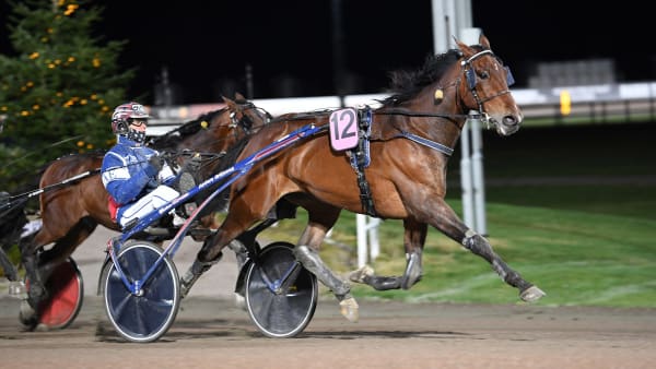 Foto: MALIN ALBINSSON / TR BILD