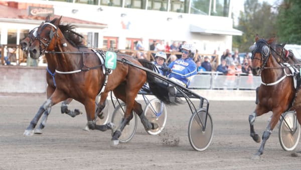 Foto: MICKE GUSTAFSSON/ALN