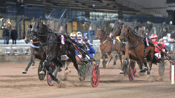 Foto: LARS JAKOBSSON / TR BILD