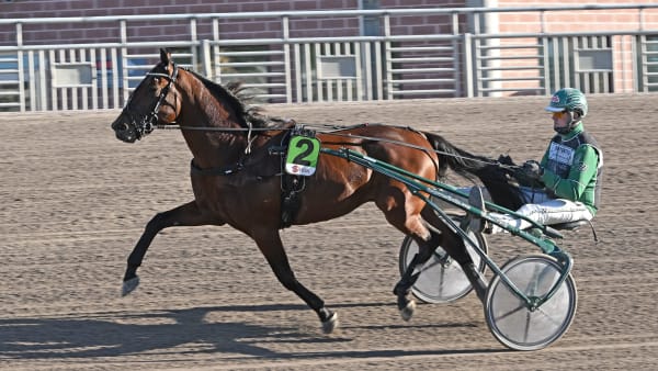 Foto: LARS JAKOBSSON / TR BILD