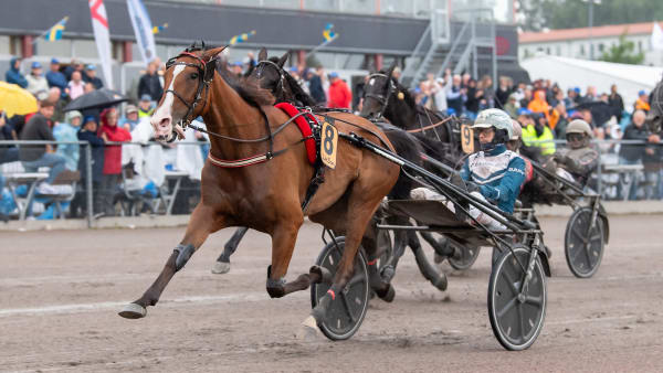 Foto: MIKAEL ROSENQUIST / TR BILD