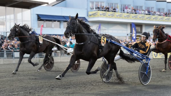 Foto: LENA EMMOTH / TR BILD