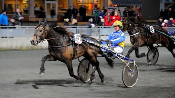 Foto: THORE LARSSON/ALN