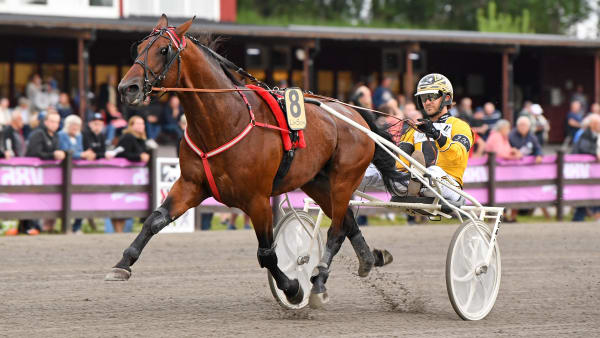 Foto: MALIN ALBINSSON / TR BILD