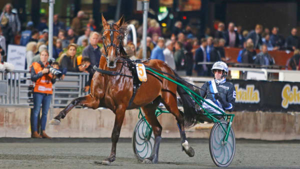 Foto: MATILDA ÖHRMAN, TRAVRONDEN