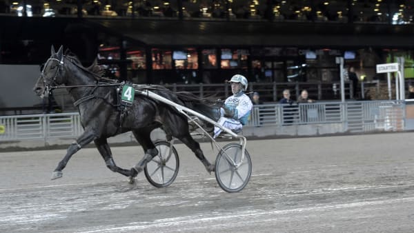 Foto: LARS JAKOBSSON / TR BILD