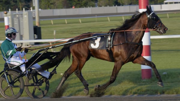 Foto: Stefan Melander/stalltz.se