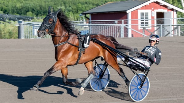 Foto: MIKAEL ROSENQUIST / TR BILD