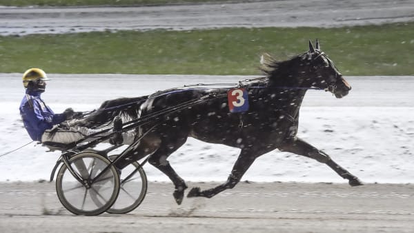 Foto: LARS JAKOBSSON / TR BILD