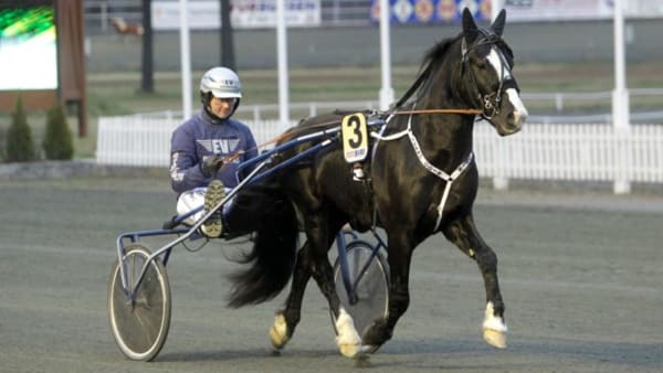 Foto: MICKE GUSTAFSSON/ALN