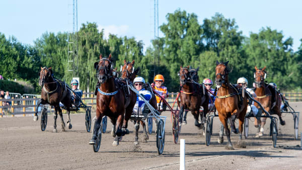 Foto: MIKAEL ROSENQUIST / TR BILD