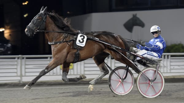 Foto: LARS JAKOBSSON / TR BILD