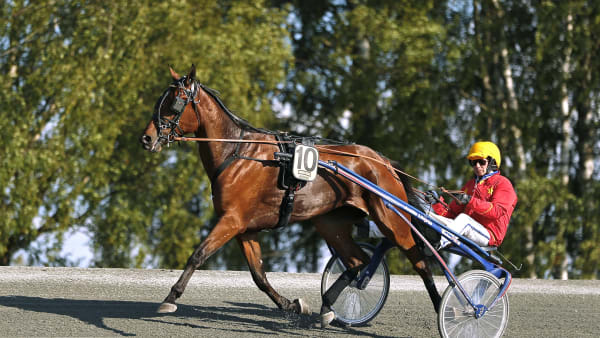 Foto: MARIA HOLMÉN / TR BILD