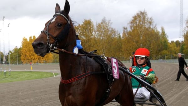 Foto: THOMAS GUSTAFSSON/ALN