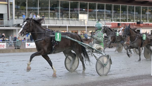 Foto: LARS JAKOBSSON / TR BILD