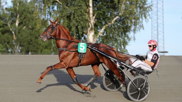 Foto: MARIA HOLMÉN / TR BILD