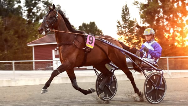 Foto: LARS JAKOBSSON / TR BILD