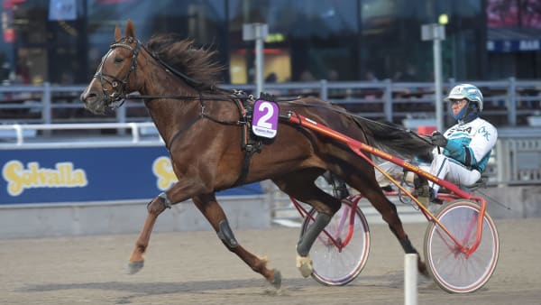 Foto: LARS JAKOBSSON / TR BILD