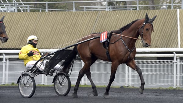 Foto: LARS JAKOBSSON / TR BILD